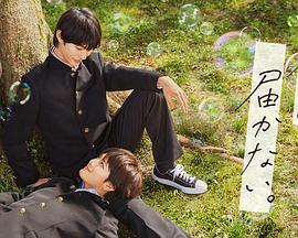 观澜湖公社海报剧照