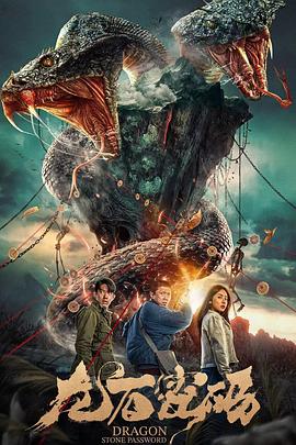 最帅小光头海报剧照